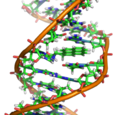 Timeline: Los principales descubrimientos del ADN