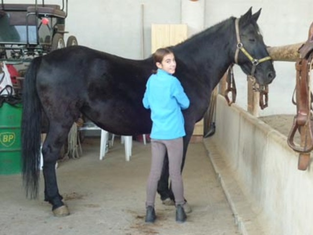 Miranda R.: My horse