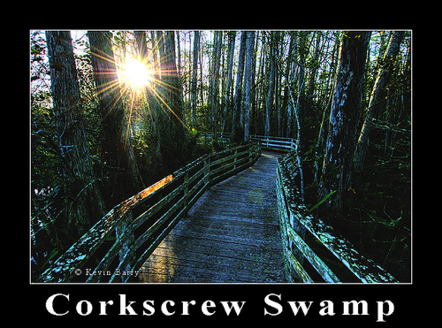 Field Trip: Corkscrew