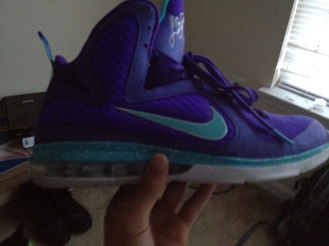 Hornet Lebrons