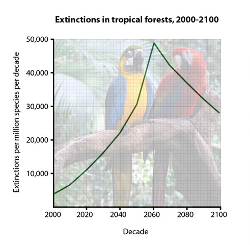 Global extinction rates are peaking