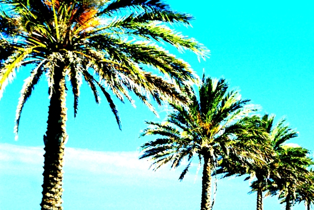 Relocated to Florida