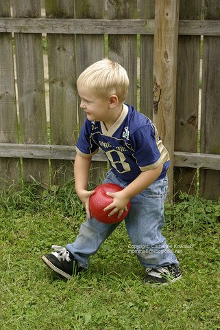 30-36 months cognitive