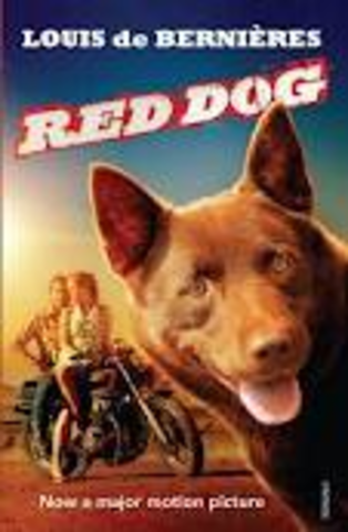 Red dog