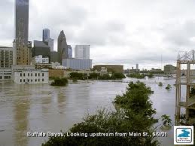 Tropical Storm Allison