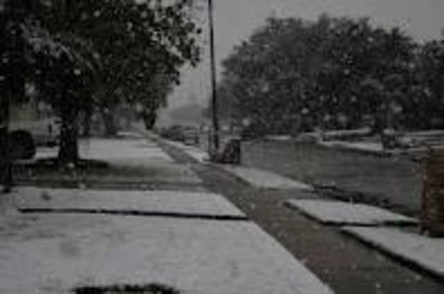 Early Snow in Pasadena