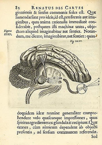 Il a ecrit Regulae ad Directionem Ingenii.