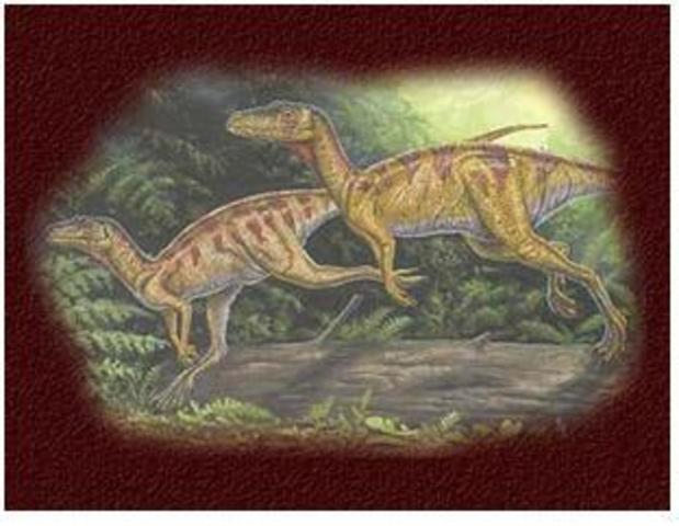 Empieza el periodo triasico