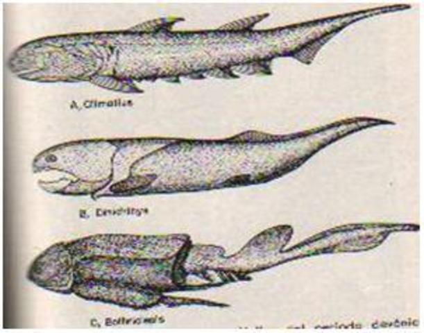 Aparecen los peces primitivos