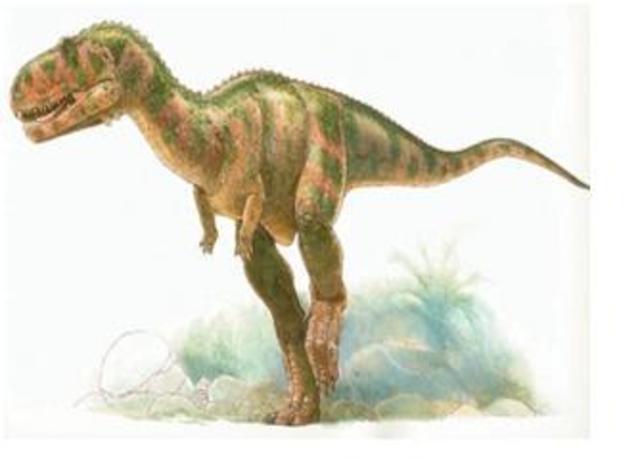 Empieza el periodo cretacico