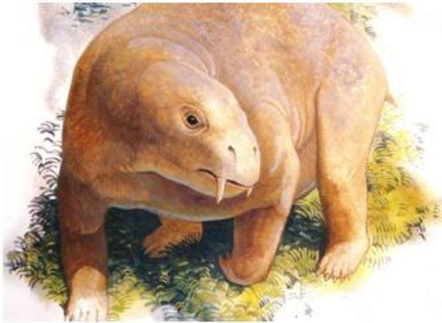 Los mamiferos sobreviven.