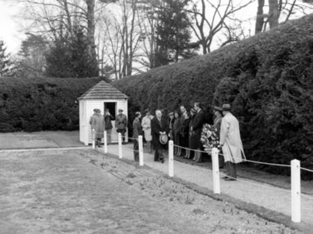 Thursday, Early Morning (Sill Night Time)