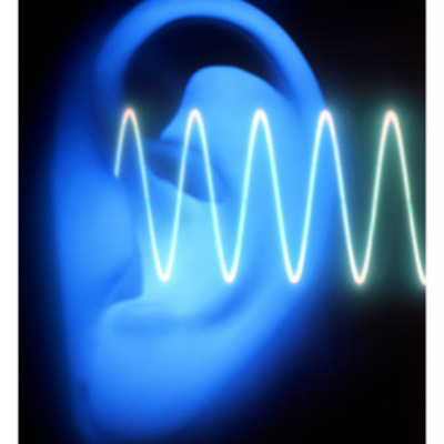 Timeline: L'évolution des apareils de reproduction