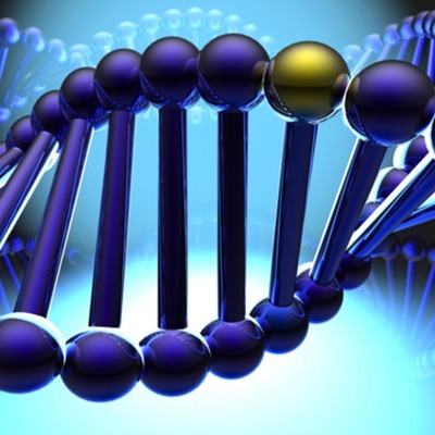 Timeline: Historia de la genética: José Logroño