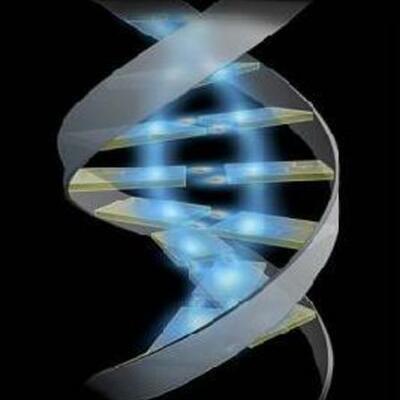 Timeline: Historia de la genética