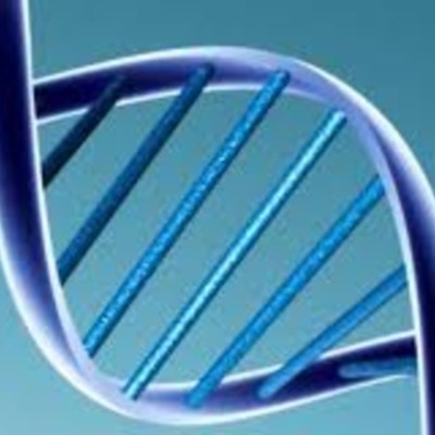 Timeline: HISTORIA DE LA GENÉTICA