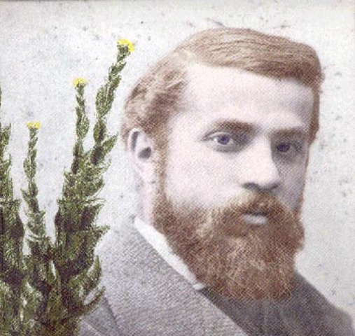 Degree in architecture