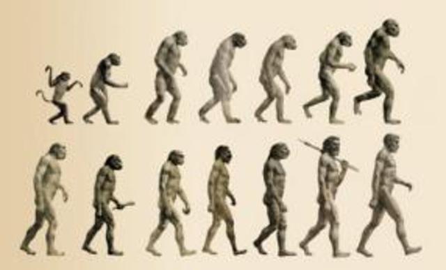 Evolucion