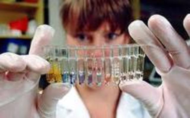 La secuencia completa de un eucariota pluricelular