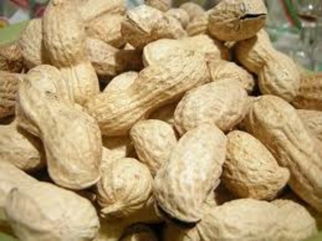 a scientist made a first industiral process for biodiesel