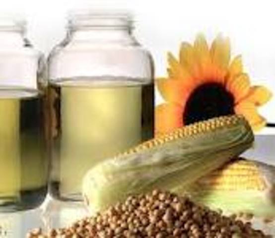 Biodiesel became internaional