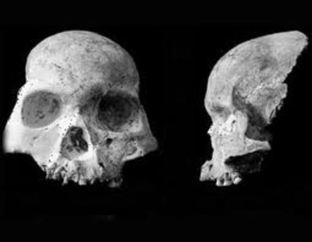 LA EPOCA CONTEMPORANEA.