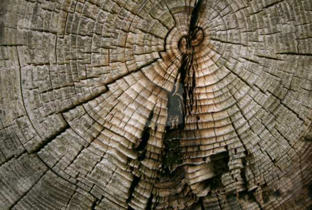 Environment takes a hit from the railroad