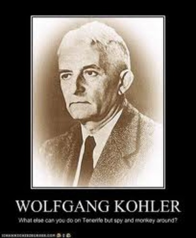 aoprte de Wolfgang Köhler a la gestalt