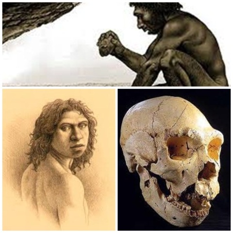 HOMO ANTECESSOR