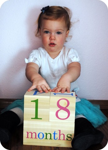 16 - 18 months (cognitive)