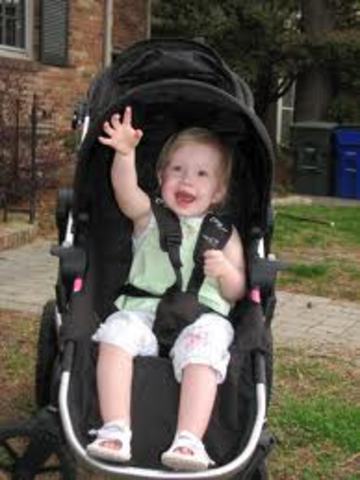 19 - 21 month ( cognitive)