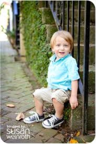 22 - 24 month (cognitive)