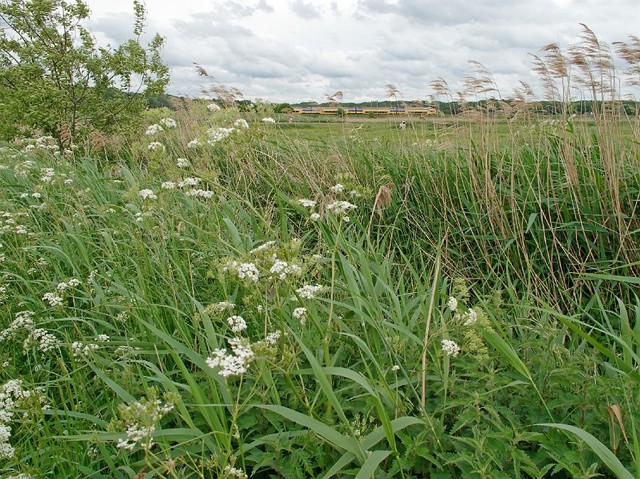 Woensdrecht behoort vanaf nu onder het Markiezaat van Bergen op Zoom.