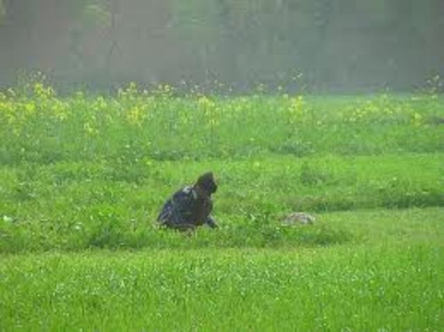 Charlie's Rising Action 1