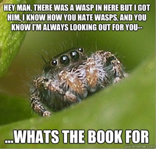 Arachnids Are 8-legged Reincarnations of Satan