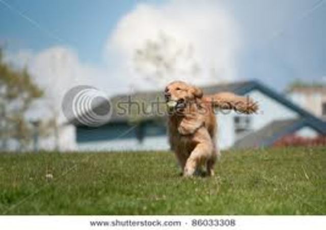 Charlie's Rising Action 6