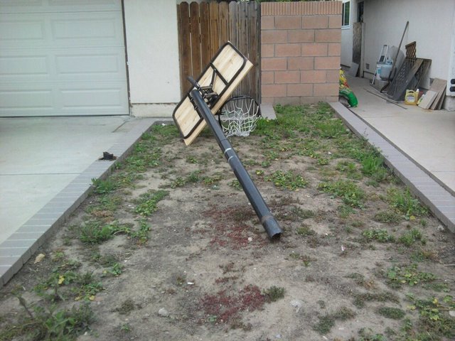 My Dad and I arguing