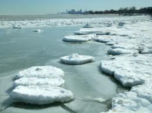 50 million years after the human extinction, about a third of the ice in the artic has melted