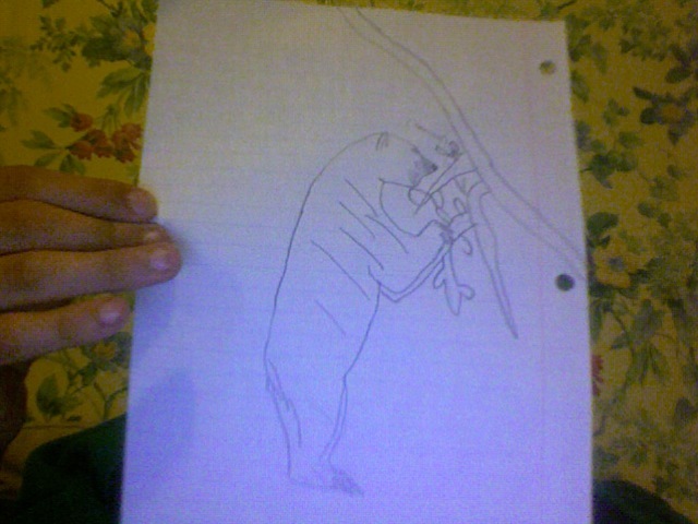 The bear learned to get on its hind legs in order for to free its hands and reach taller spots for food.