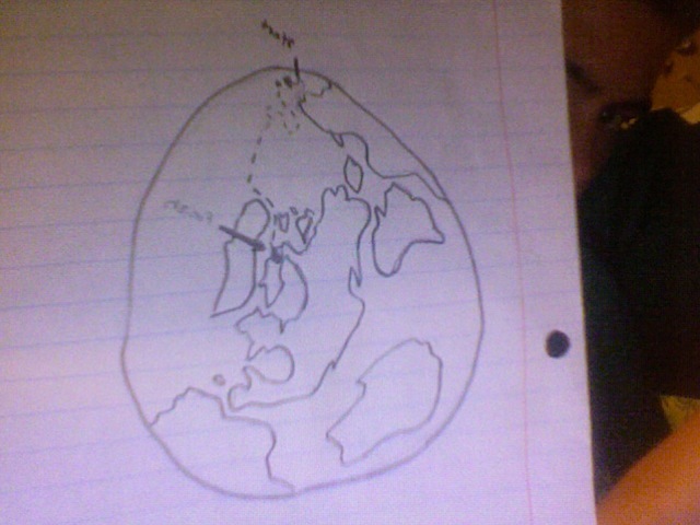 The polar bear reaches the coast of the U.S and moves back on land.