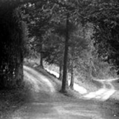 Timeline: El Jardín de los Senderos que se Bifurcan