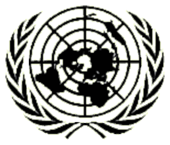 Seeking for an international peacekeeping organization