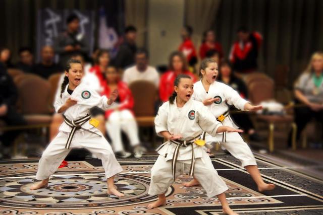 Tae Kwon Do (The Beginning)