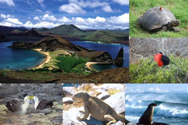 Galapagos Island