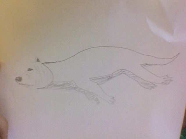 The fur on the bear started to change into blubber and oil. in order to make swimming easier and quiter.