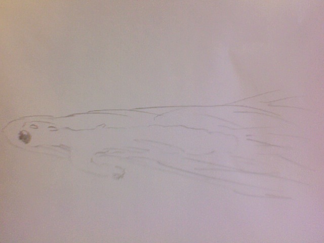 Polar Bear develops very large lungs in order to survive underwater for long periods of time.