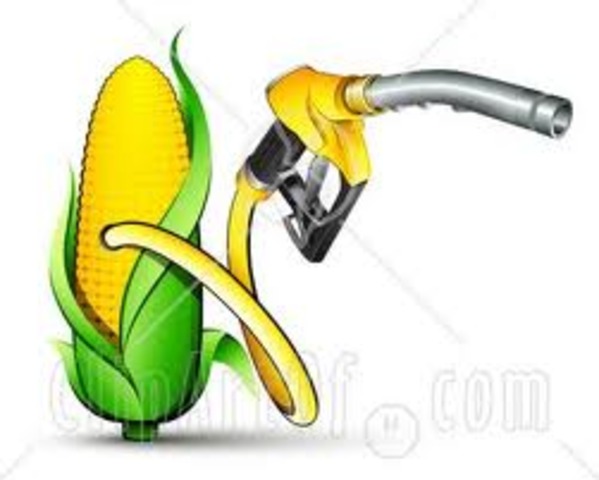 Biofuel is now used anually around U.S