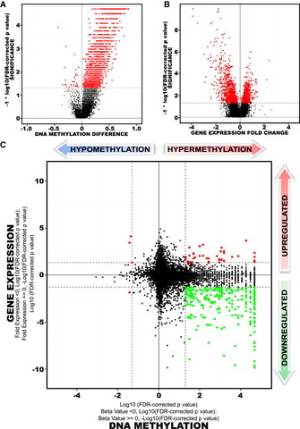 CpG Island Methylator Phenotype in Gliomas