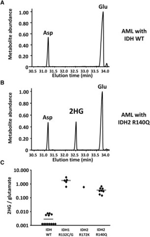 IDH1 and IDH2 Mutations in AML Generate 2HG