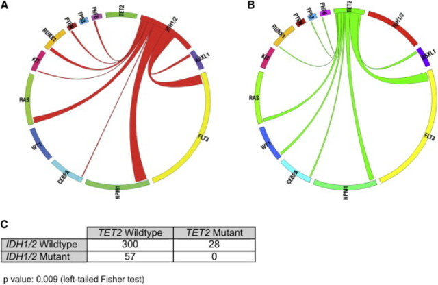 IDH1/2 Mutations Perturb DNA Methylation in AML